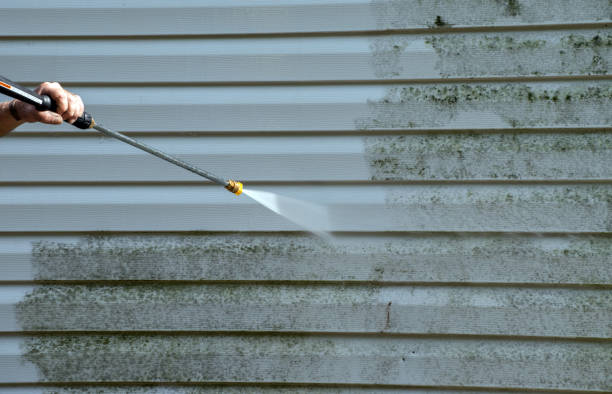 Best Driveway Pressure Washing  in Winterset, IA